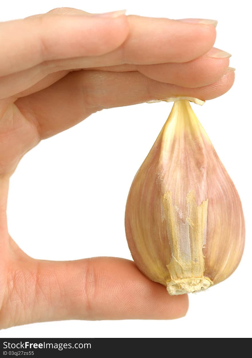 Hand Holding Large Clove Of Garlic