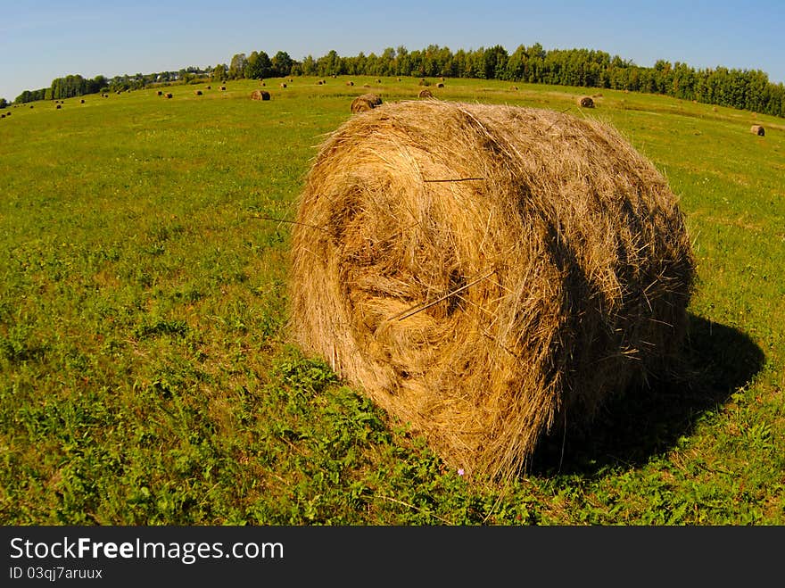 Field and haystack near Ryazan