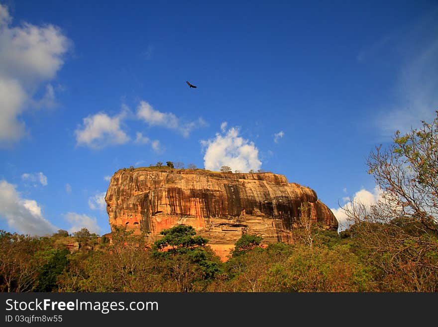 Eagle Over The Lion Rock