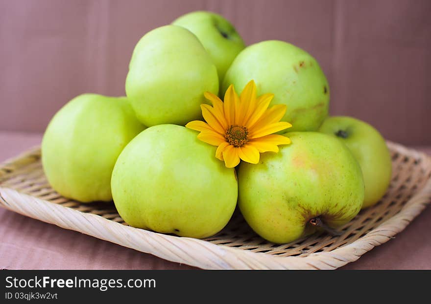 Green ecological apples, the flower and the brown background