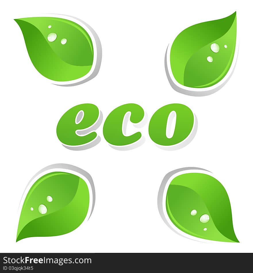 Ecology and green leafs of a plant. A vector illustration. Ecology and green leafs of a plant. A vector illustration