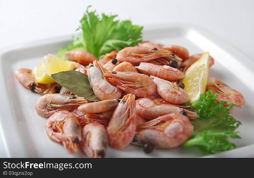 Coldwater shrimps