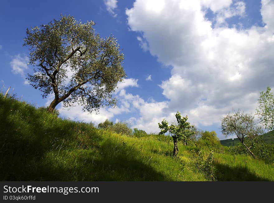 View of beautiful italian country