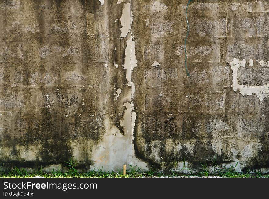 Old brick wall with moss and grass