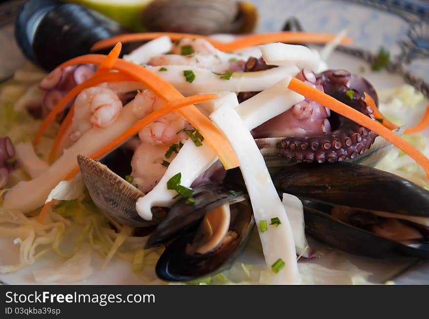 Appetizer seafood salad with mussels, clams, squid, octopus and shrimp. Appetizer seafood salad with mussels, clams, squid, octopus and shrimp