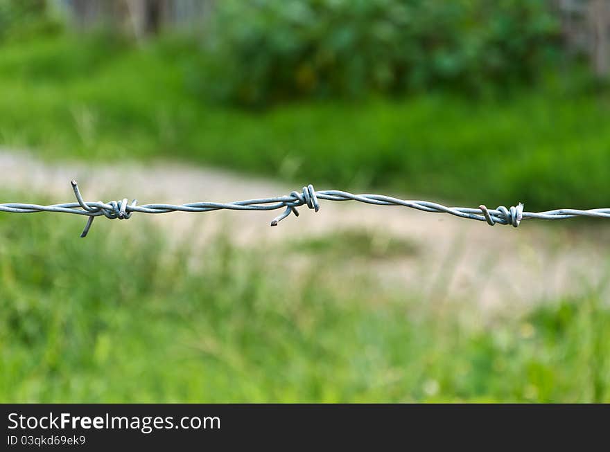 Barbed wire with green grass outdoor