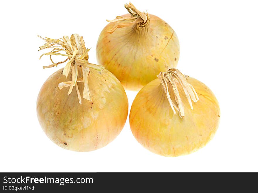 Onions on  white background