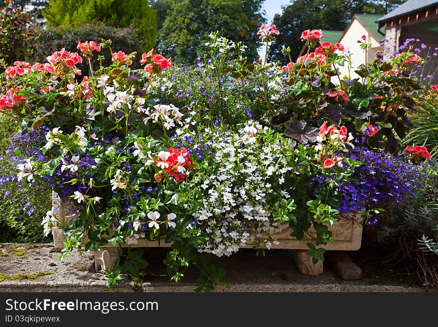 Flower Bed