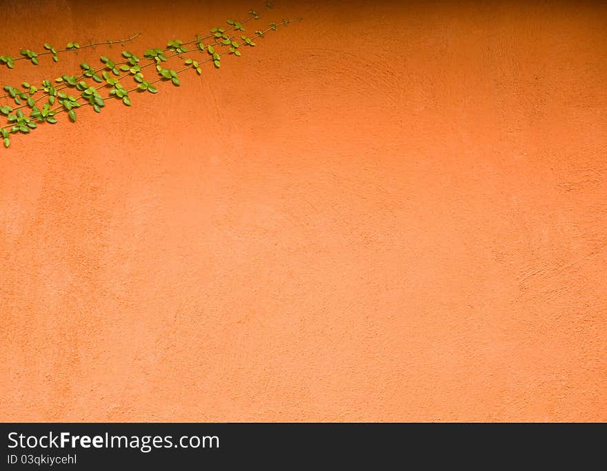 Green Plant And Brown Wall