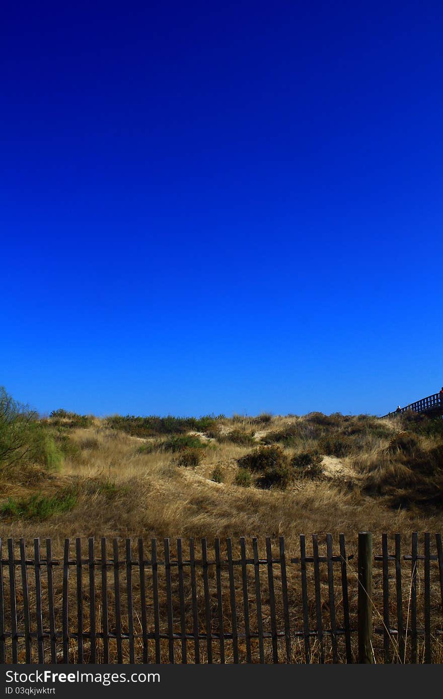 Dunes on a beach in Portugal