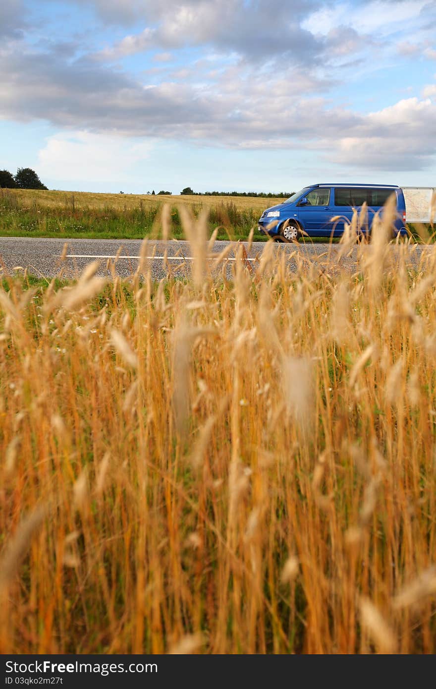 Landscape of ripe wheat field and blue delivering van. Landscape of ripe wheat field and blue delivering van.