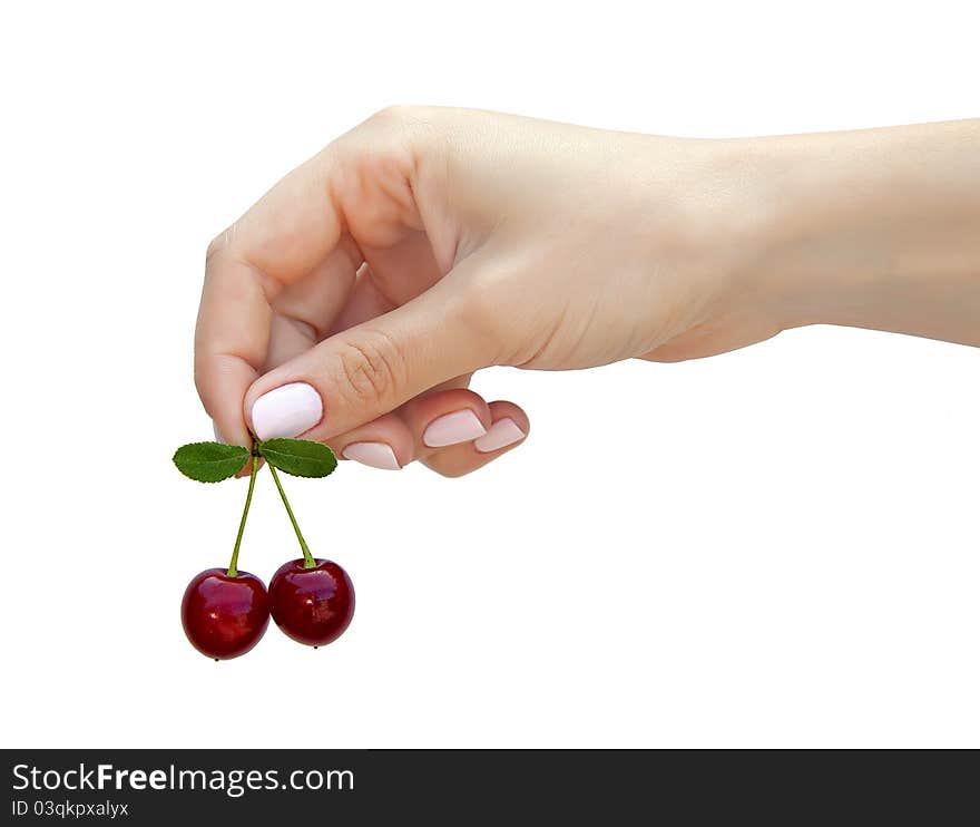 Female hand holding a sprig of cherries. Female hand holding a sprig of cherries