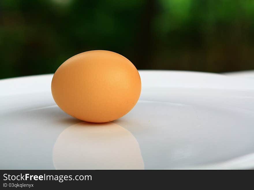 An egg to food and nutrition.