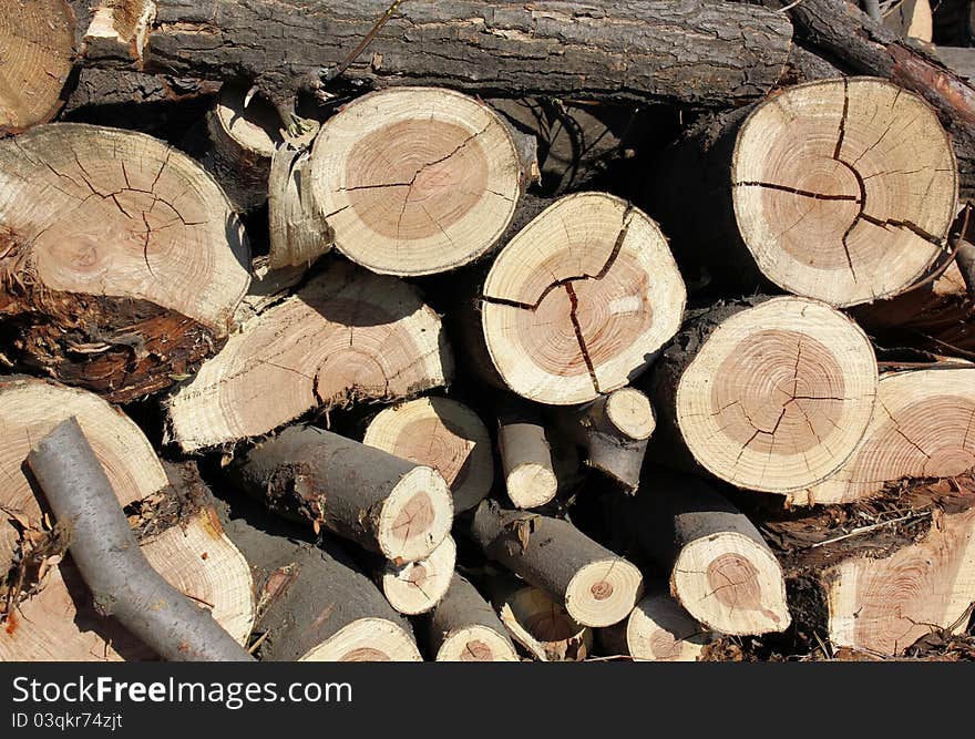 Pile of wood in summer