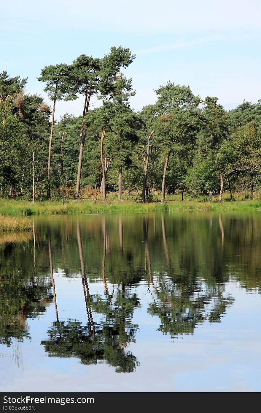 Nature area, water mirror in the Netherland