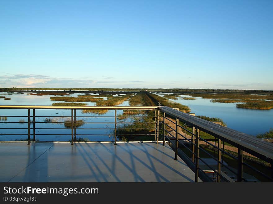 Overgrown forest lake. Summer landscape. Lookout tower. Overgrown forest lake. Summer landscape. Lookout tower.