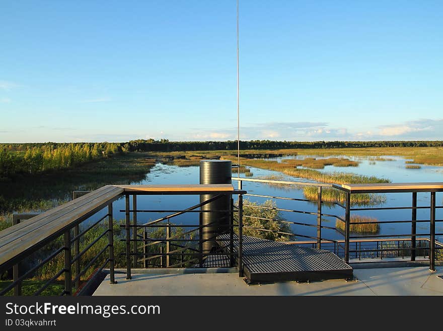 Overgrown forest lake. Summer landscape. Lookout tower. Overgrown forest lake. Summer landscape. Lookout tower.