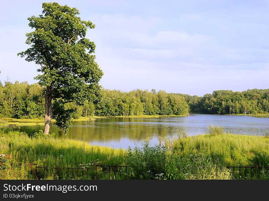 Pure lake in a taiga of the Far East