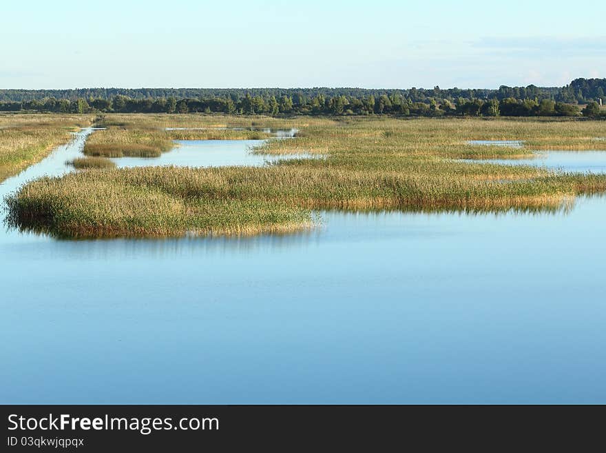 Overgrown forest lake. Summer landscape. Overgrown forest lake. Summer landscape.