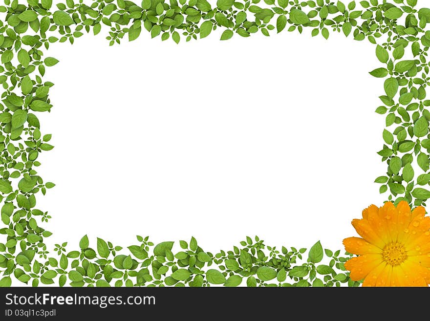 Green Plant Frame With Yellow Flowers