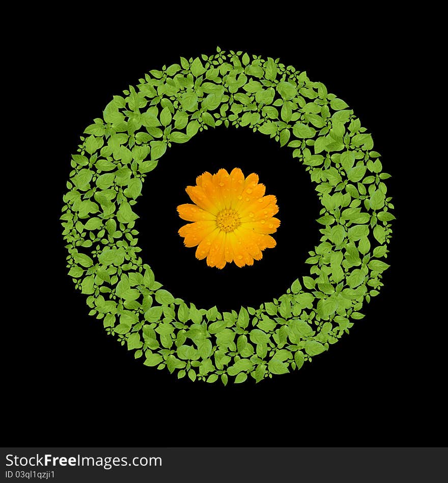 Green plant circle with flower