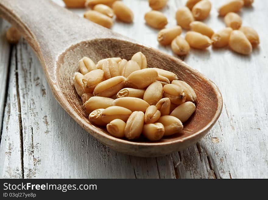 Sweet dry wheat on a wood spoon