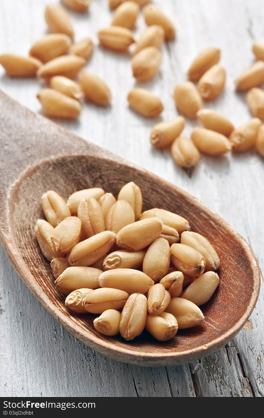 Sweet dry wheat on a wood spoon