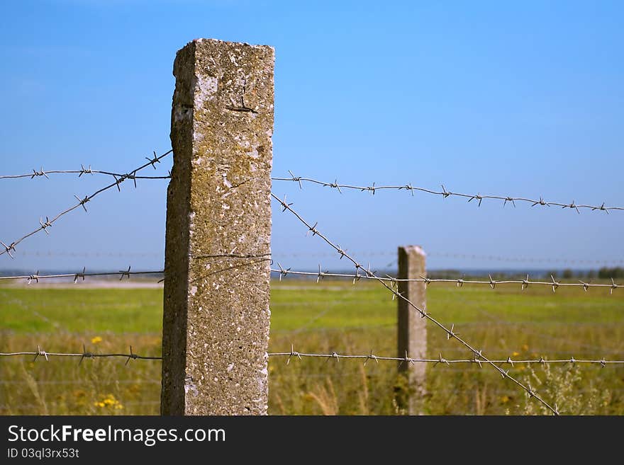 Fence of barbed wire