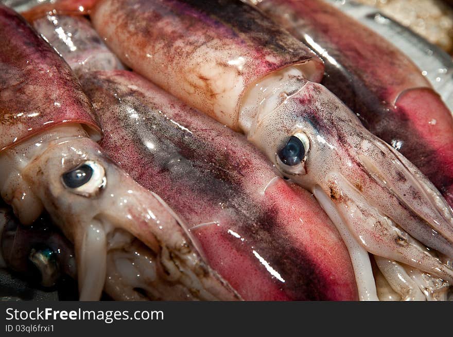 Fresh Squid on an asian Market stall