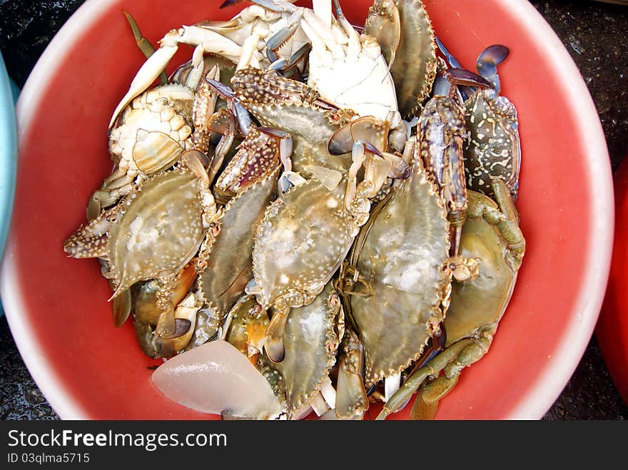 The sea crab, in the seafood market sale.