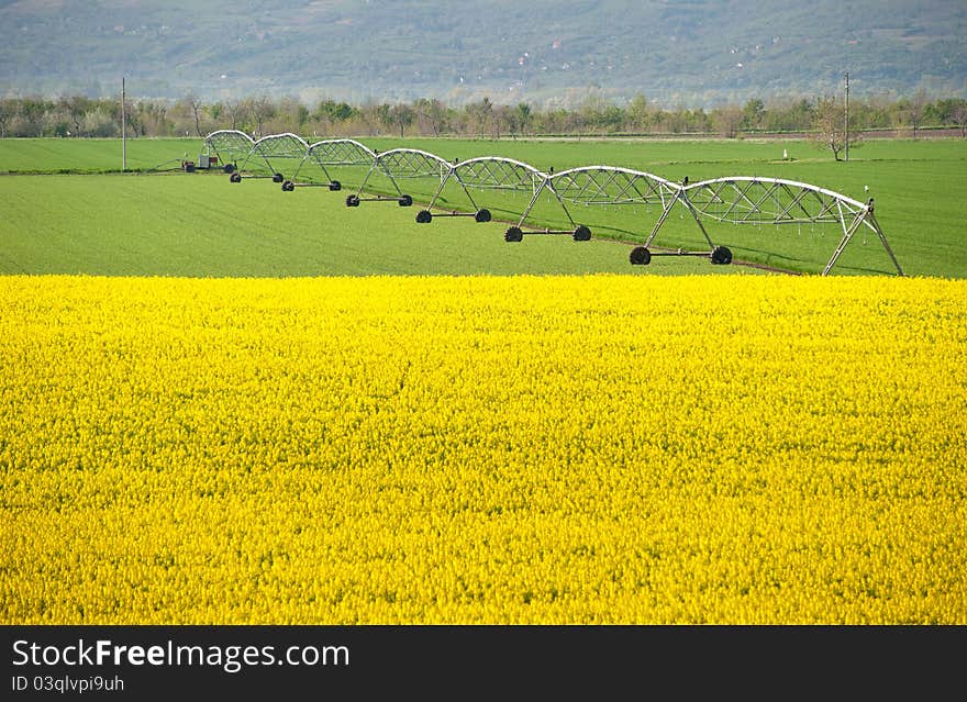 Landscape with rapeseed flowers and Irrigation Equipment. Landscape with rapeseed flowers and Irrigation Equipment