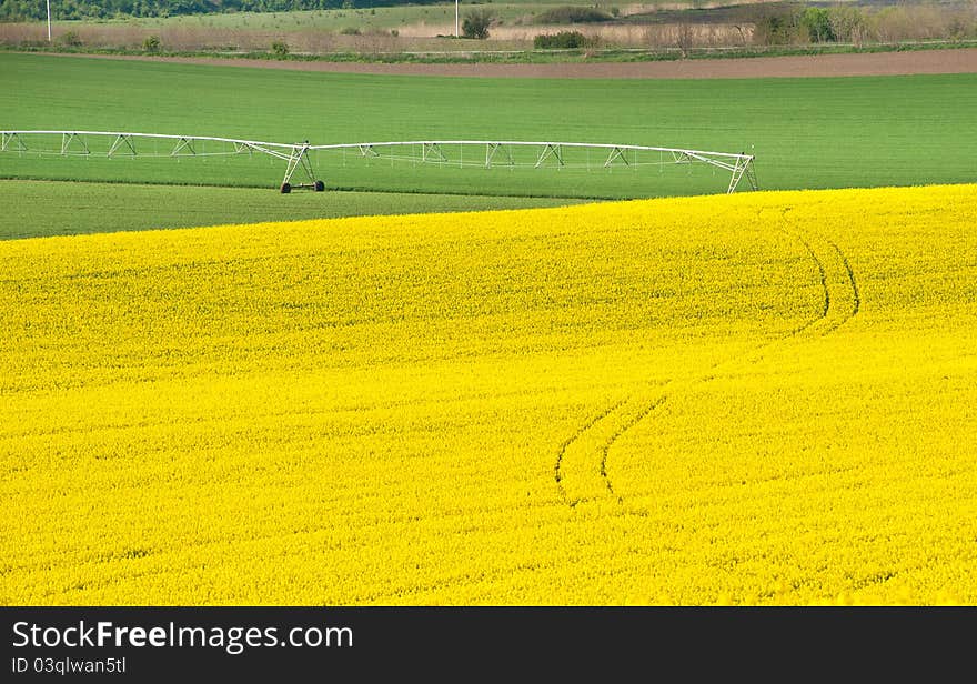 Landscape with rapeseed flowers and Irrigation Equipment. Landscape with rapeseed flowers and Irrigation Equipment