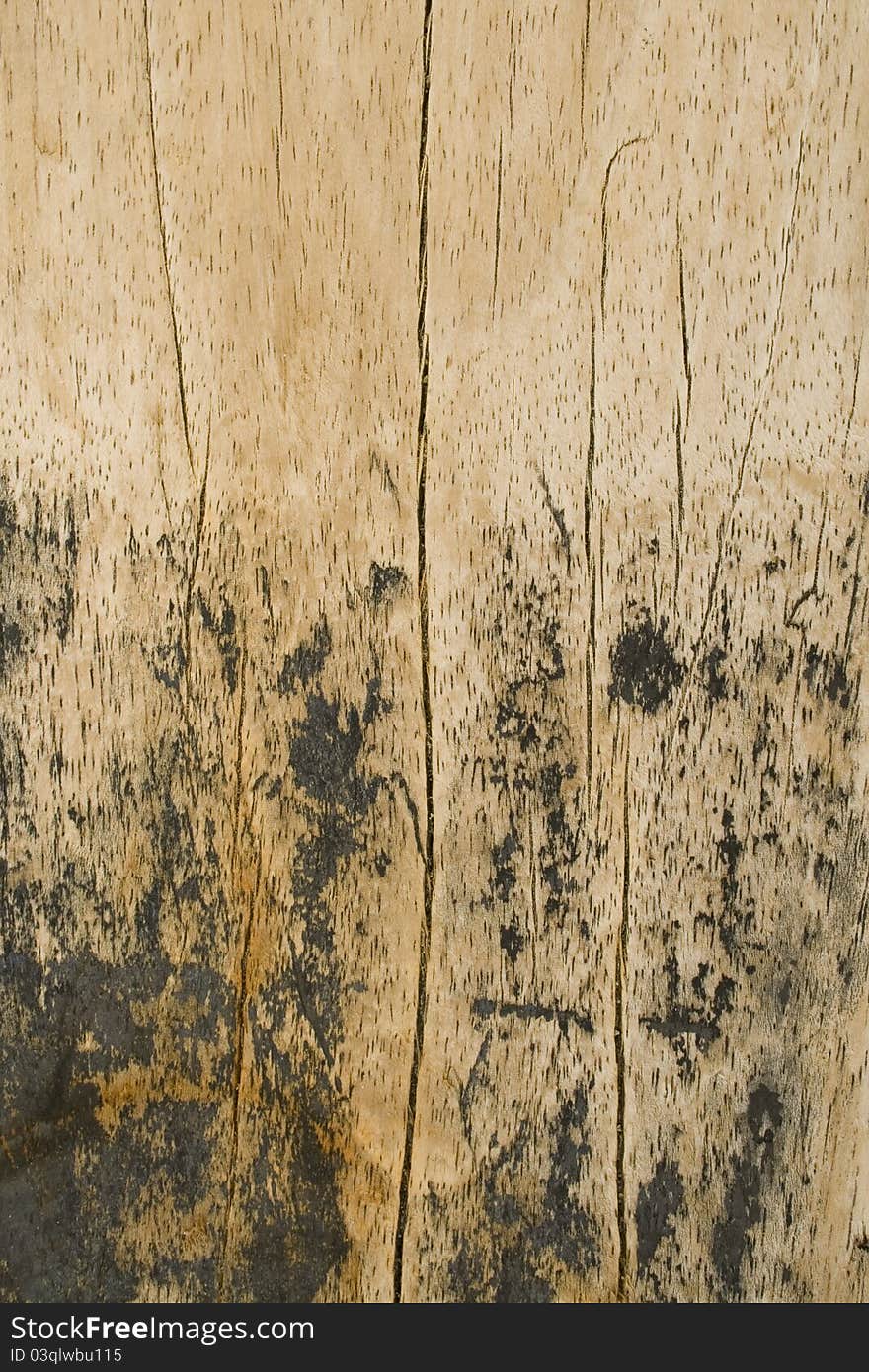 Wood beach plank with vertical cracks and black grunge stripes background