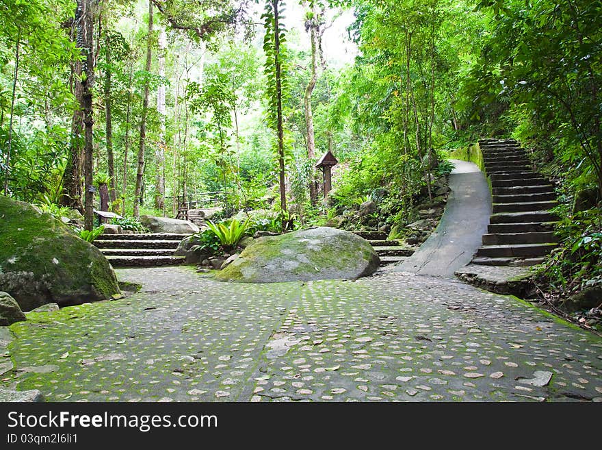 Walk way in Namtokphlio National Park