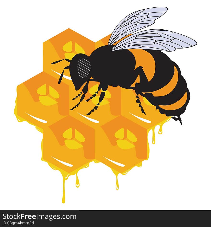 The Vector Bees And Honeycomb With Honey