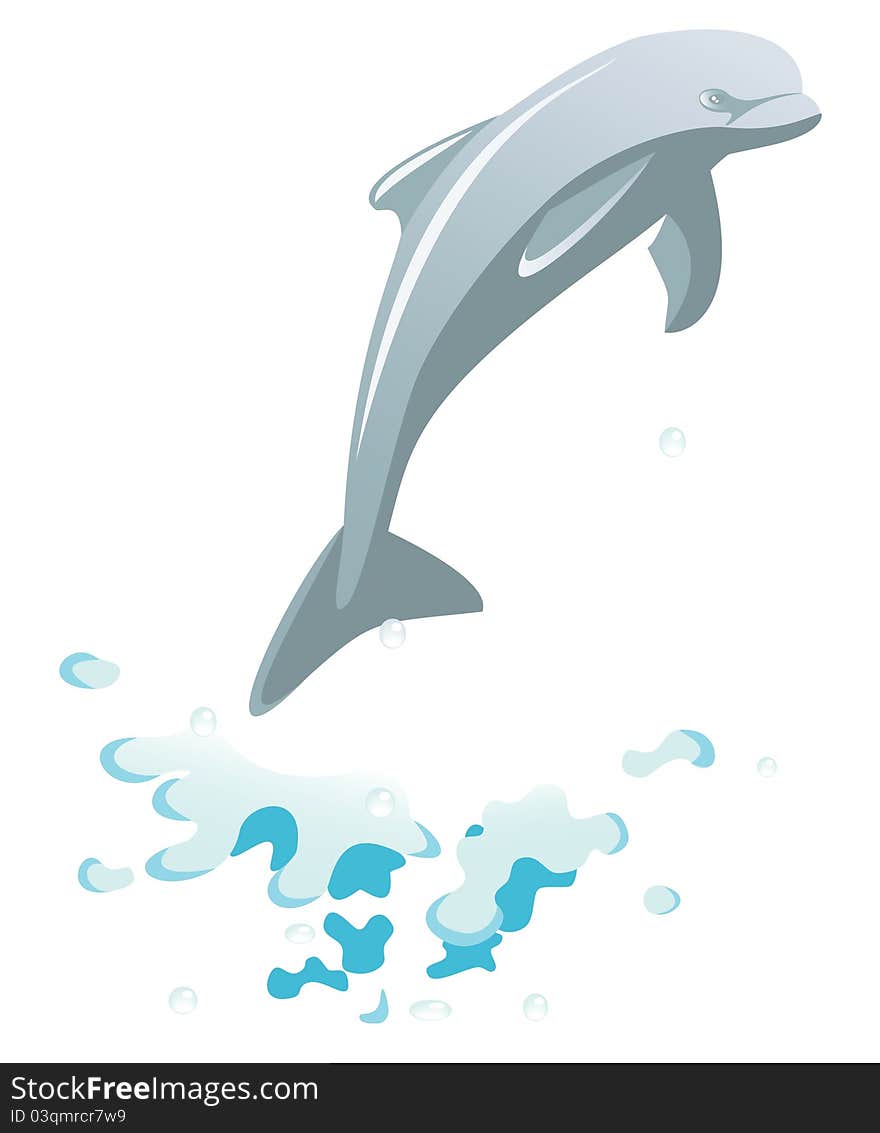 Jumping Dolphin with splash of water