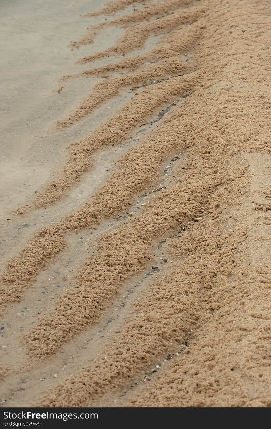 Sand texture on the beach. Sand texture on the beach.