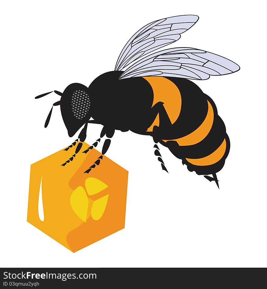 The Vector Bees And Honeycomb With Honey