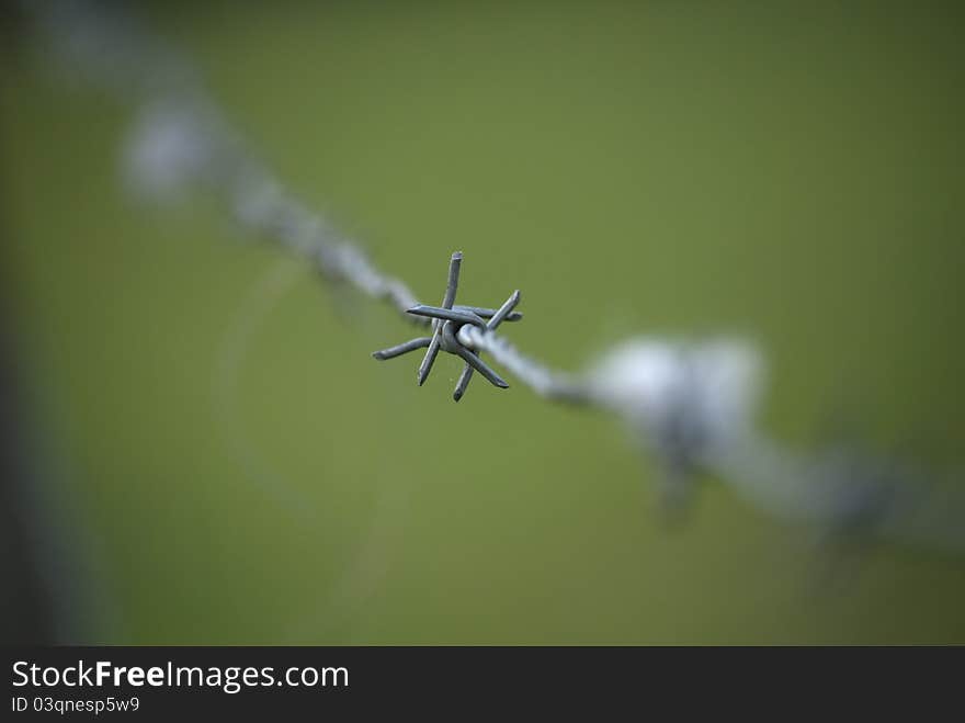 Barbed Wire