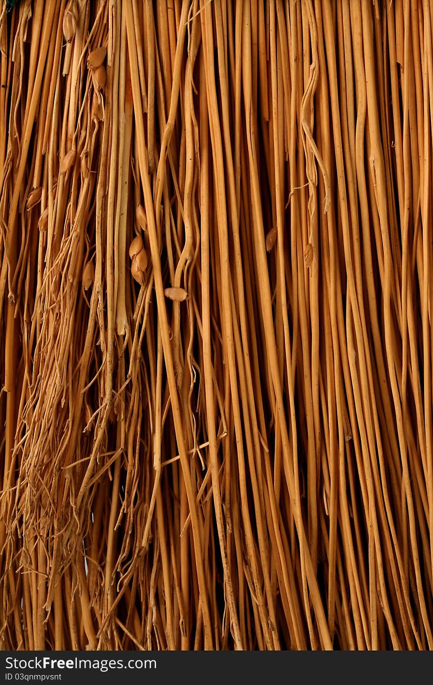 A closeup vertical image of tan broom material. A closeup vertical image of tan broom material.