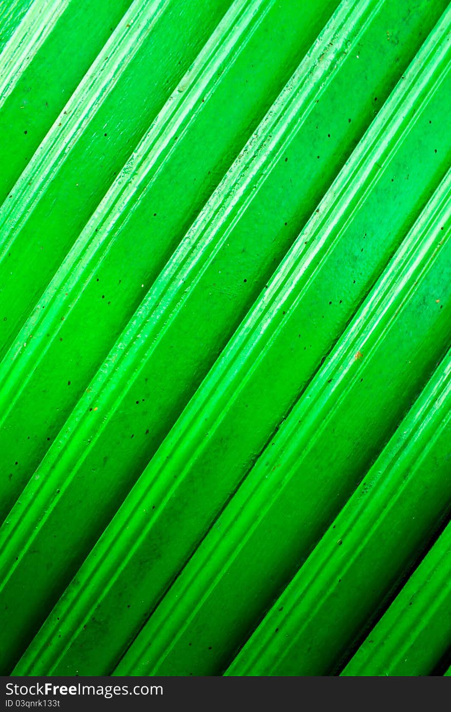 The green background of wood floor. The green background of wood floor