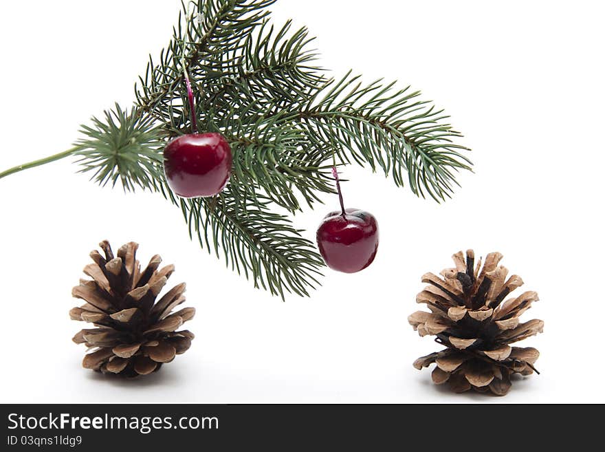Fir branch with cherries and fir cones