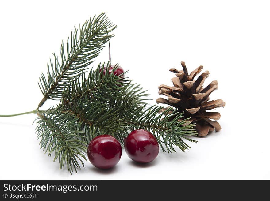 Fir branch with cherries and fir cones