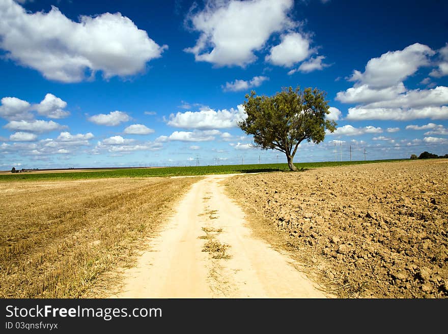 The road which is passing along an agricultural field. The road which is passing along an agricultural field