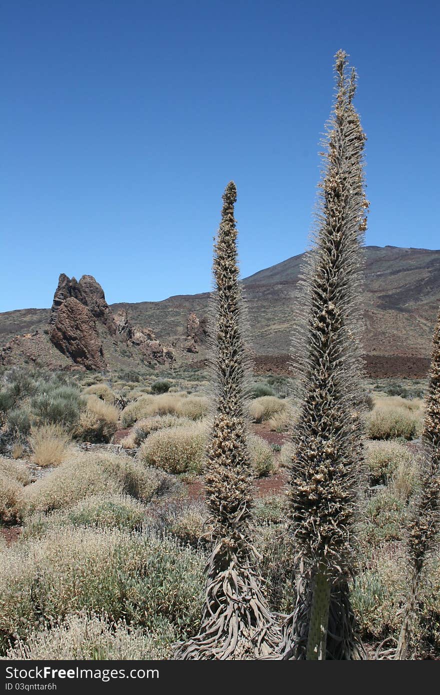 Tenerife - Teide