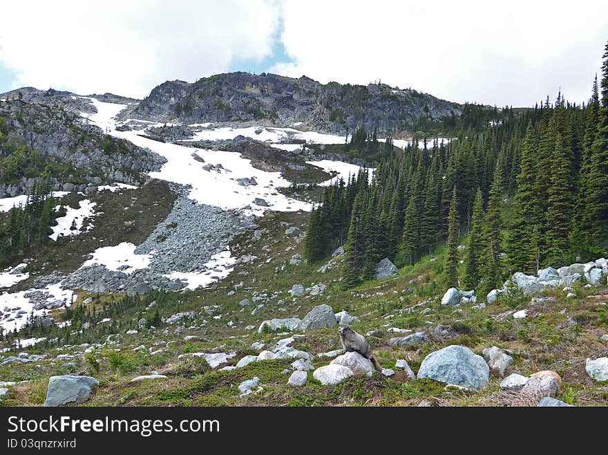 Whistler Mountain, Canada