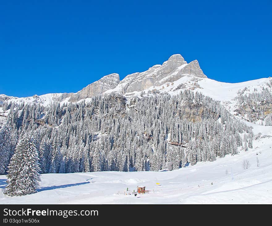 Skiing slope