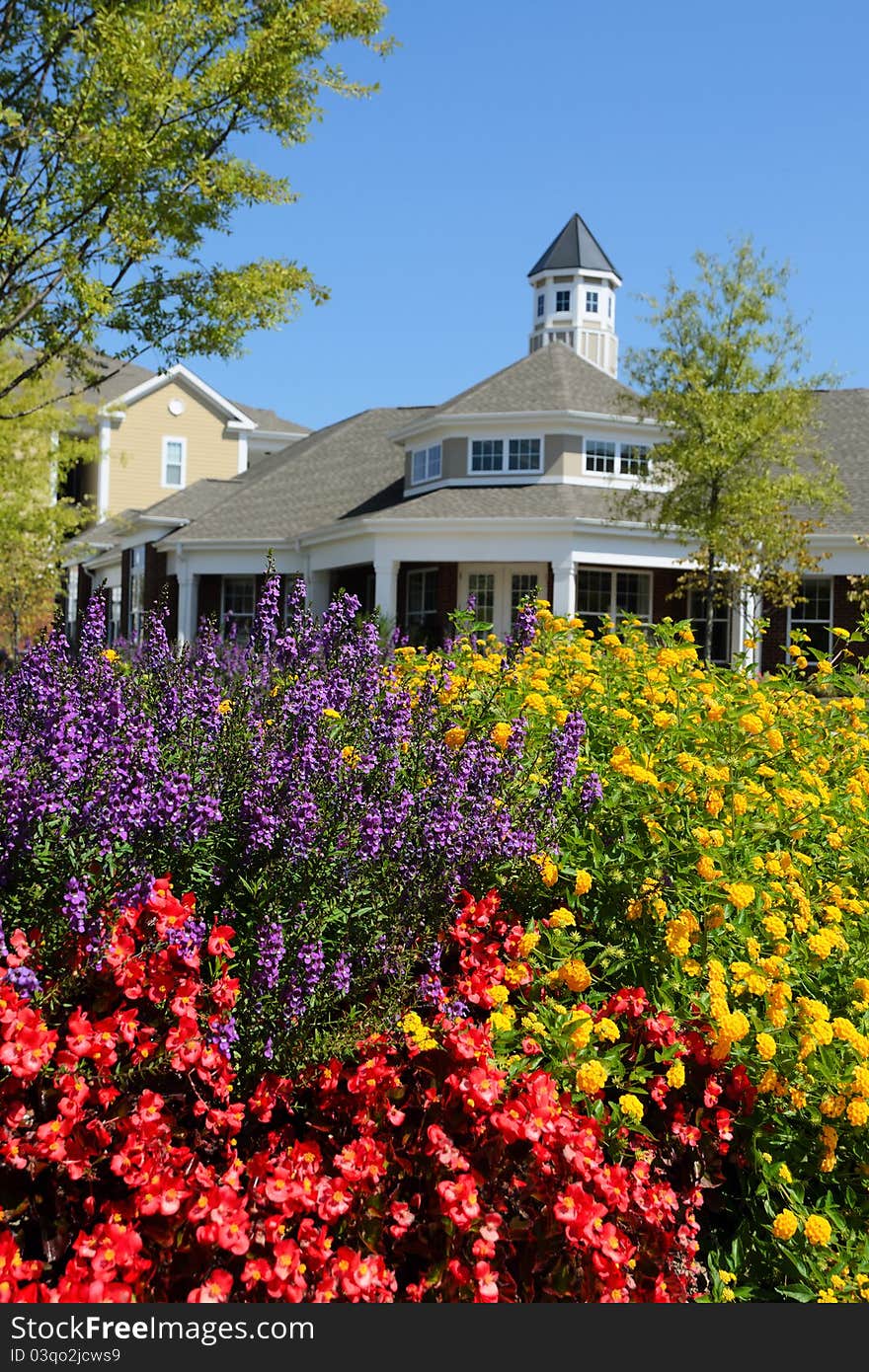 Summer flowers with apartment leasing office on background. Summer flowers with apartment leasing office on background