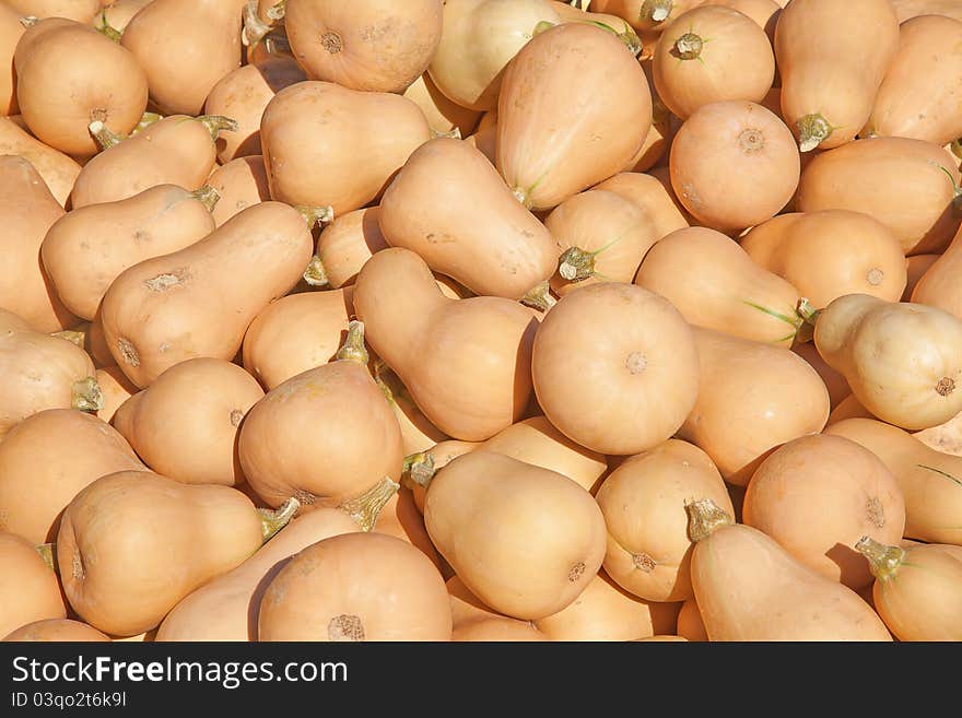 Colorful pumpkins collection on the autumn market