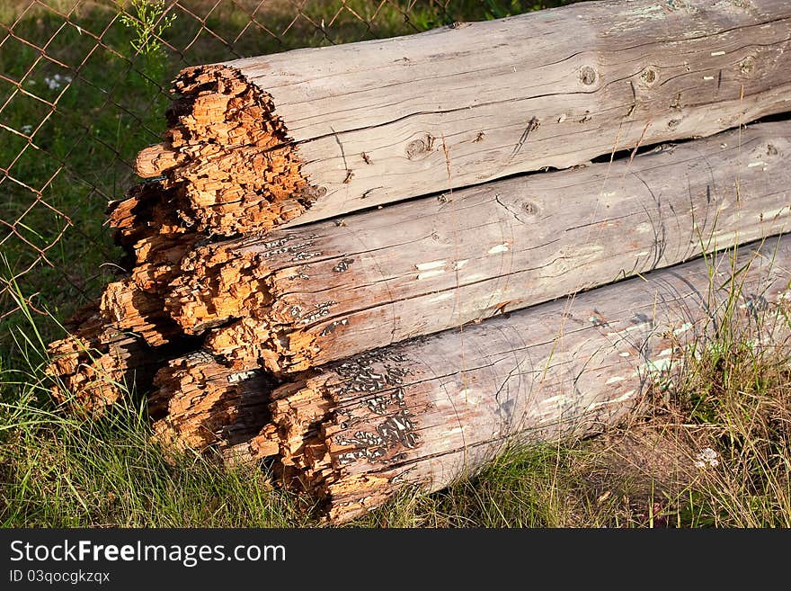 High resolution image of rotten wood